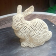 Capture d’écran 2017-05-05 à 16.58.12.png Bunny Voronoi - with support. Rabbit Voronoi with support